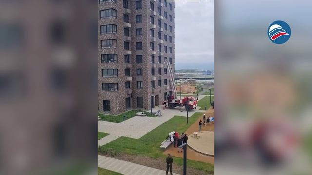 «Чудо на 12-м этаже»: весь район спасал любопытного пса, вылетевшего из окна на Сахалине