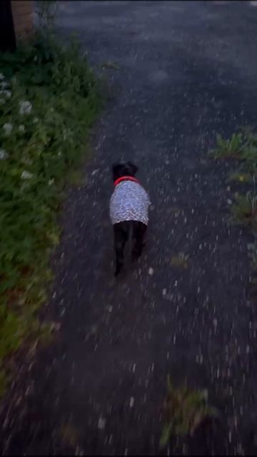 1000080159.mp4