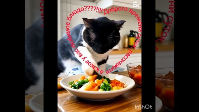1000120211.mp4