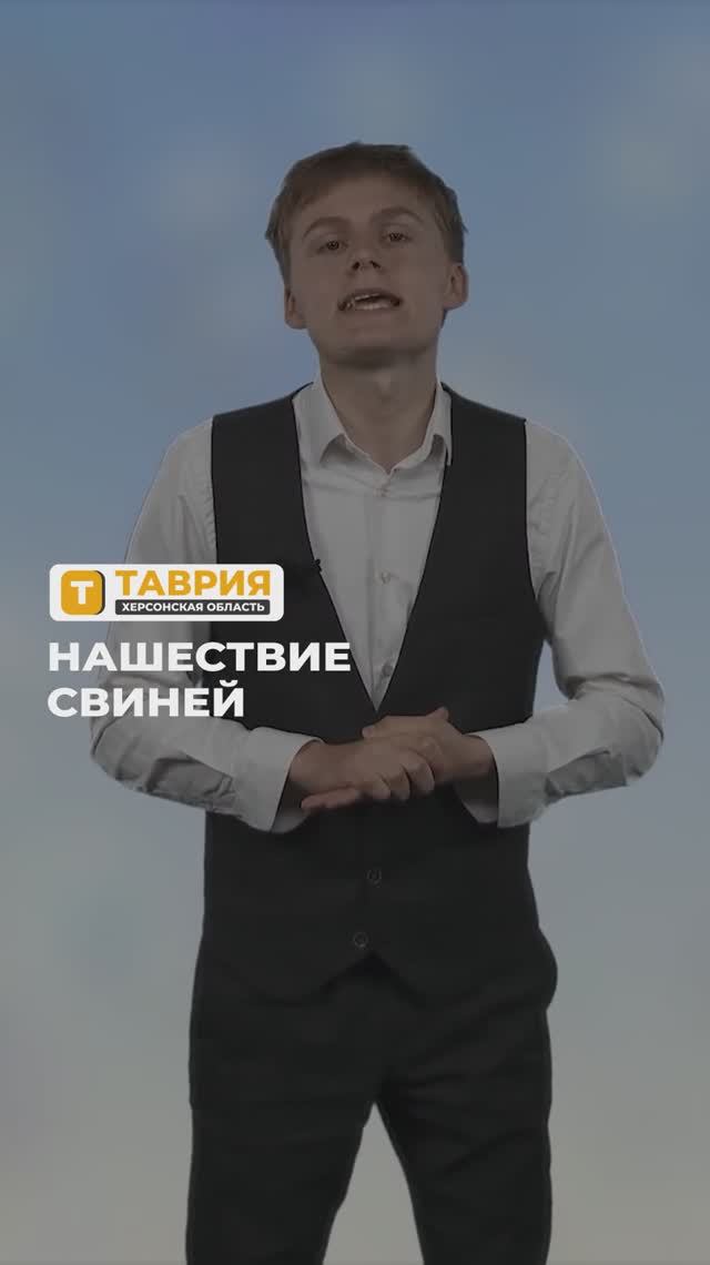 "Нашествие свиней"