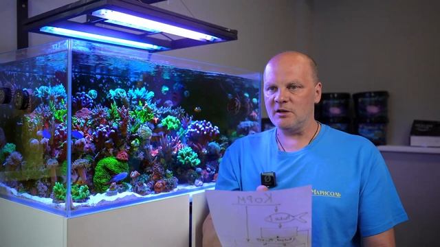 ЗАЧЕМ ИХ ДОЗИРОВАТЬ В МОРСКОЙ АКВАРИУМ