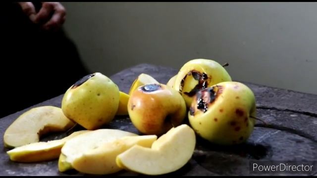 Շամշադինի Համը
