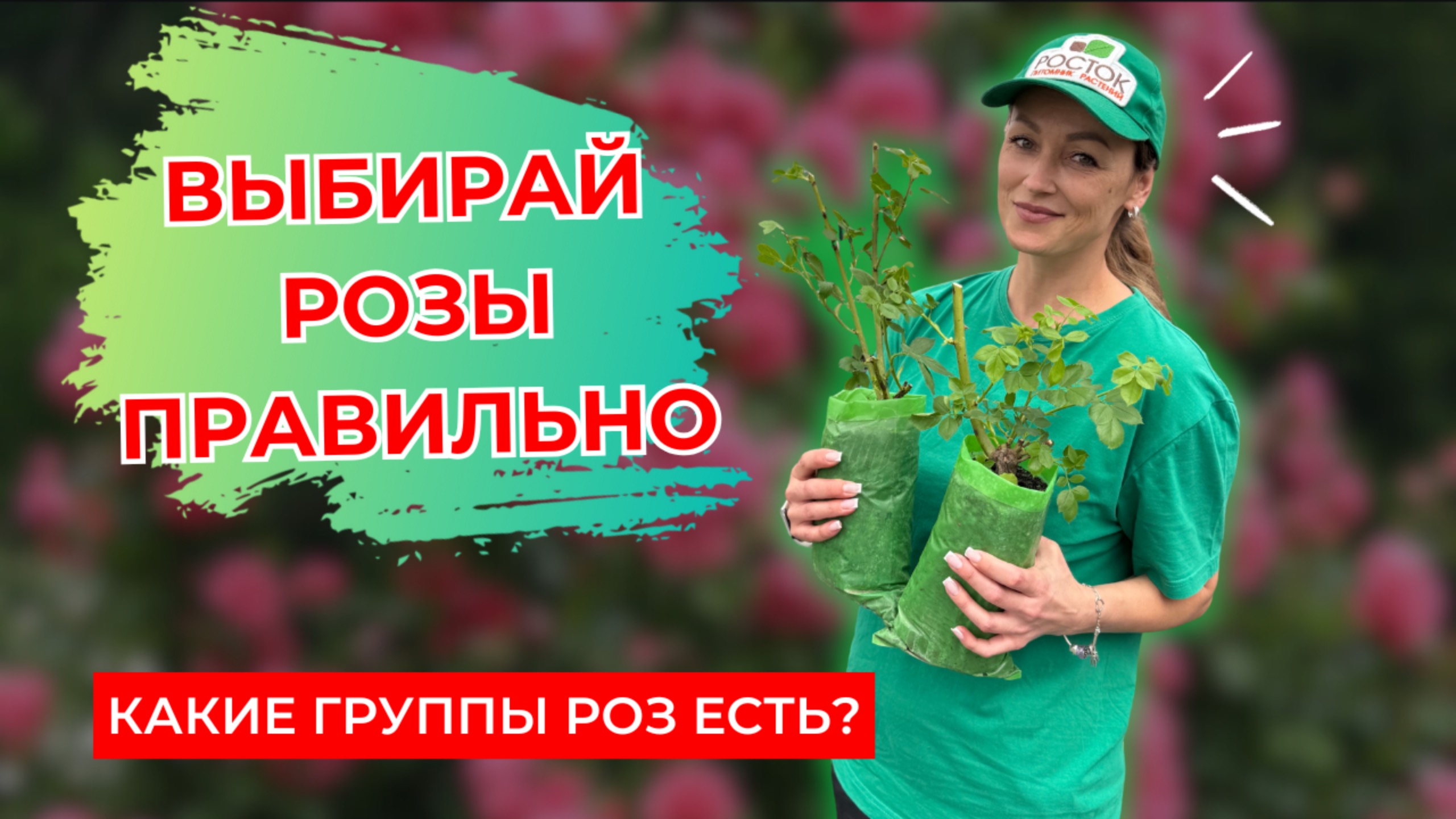 Выбираем розы правильно: классификация роз 🌹