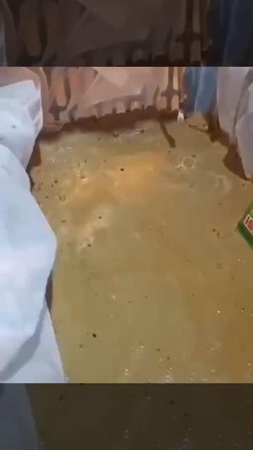 Размножение винограда зимой