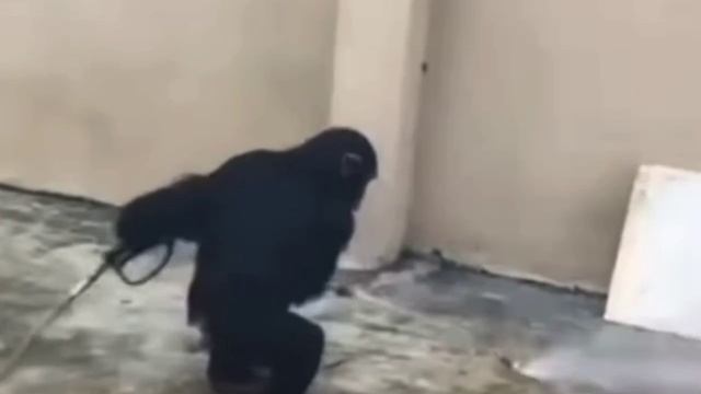 Неквалифицированный работник🙉😂