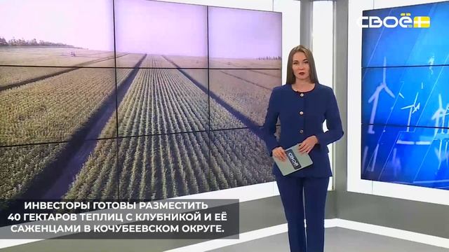 На Ставрополье создадут новые ягодные теплицы и фруктовые сады