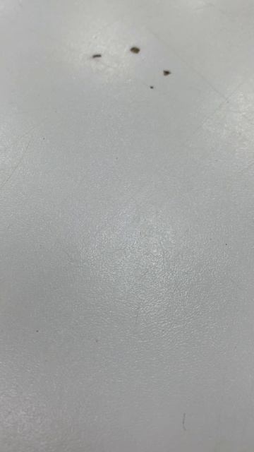 Xiaomi Redmi Note 8 pro 3666p
