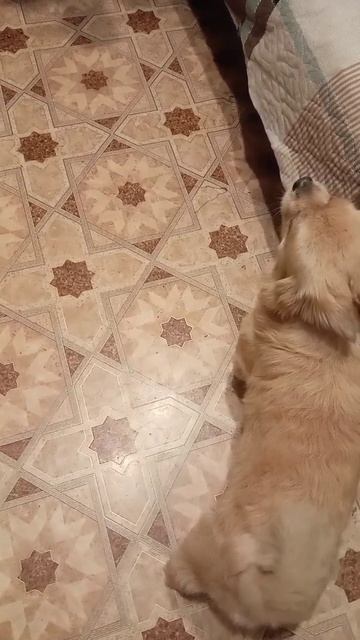 Новая подборка, прикол! 👍😂
