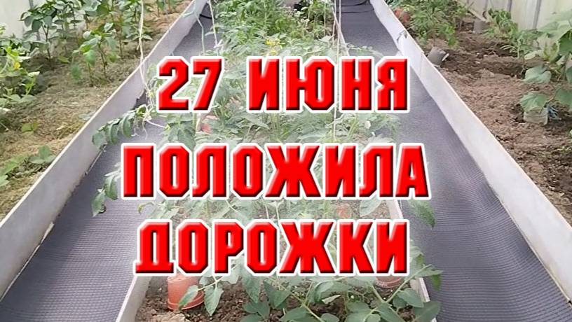 27 июня. Постелила новые дорожки в теплице