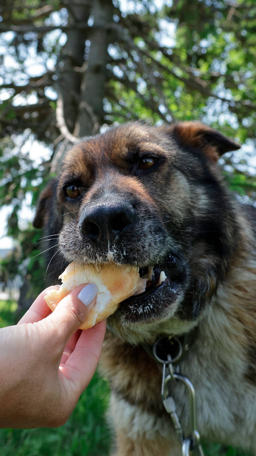 Мороженку любят все 😜