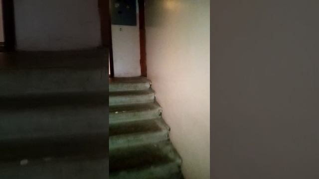 4296015929