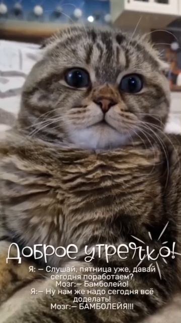 Утро Пятнички)