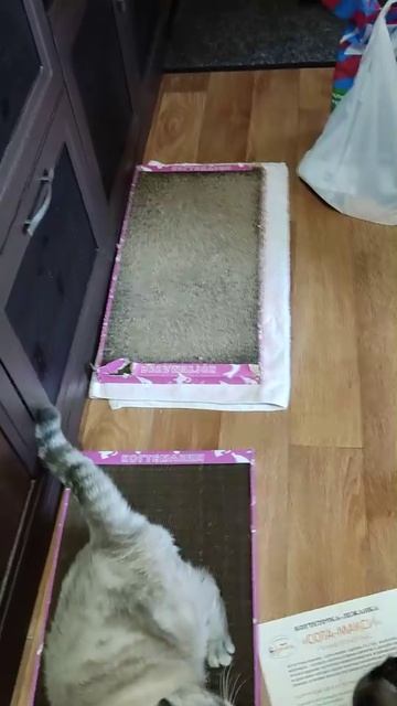 Отличная когтеточка! Котикам очень нравится!!!❤️