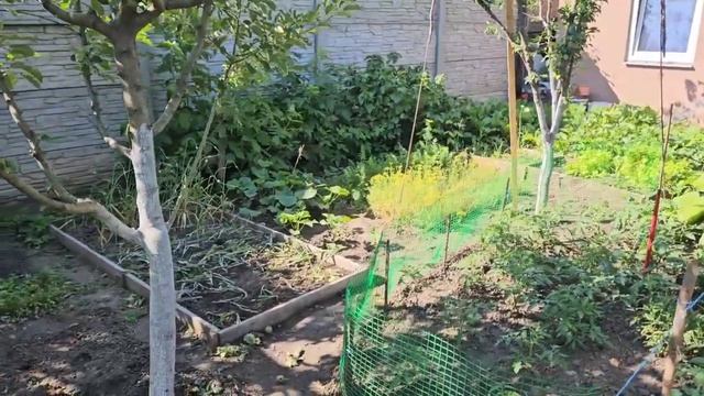 САМВЕЛ АДАМЯН, СЫТНИКИ, МАЛЕНЬКАЯ ПОМОЩЬ, ЖЕЛАЮ ВСЕМ ЗДОРОВЬЯ..