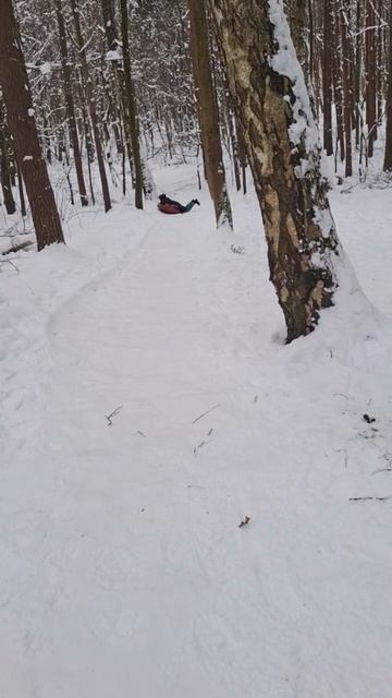 Зима пришла
