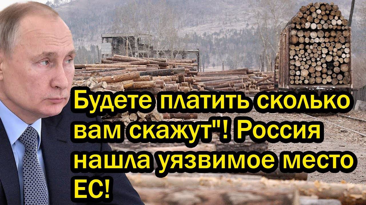 Будете платить сколько вам скажут! Россия нашла уязвимое место ЕС!