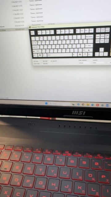 MSI доп.