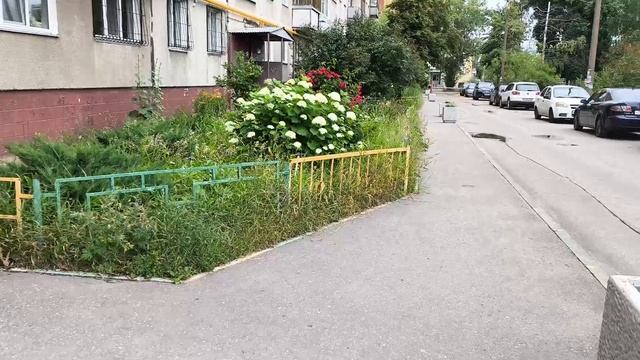 Аллея с пикантным названием и огородники у подъезда многоэтажки.