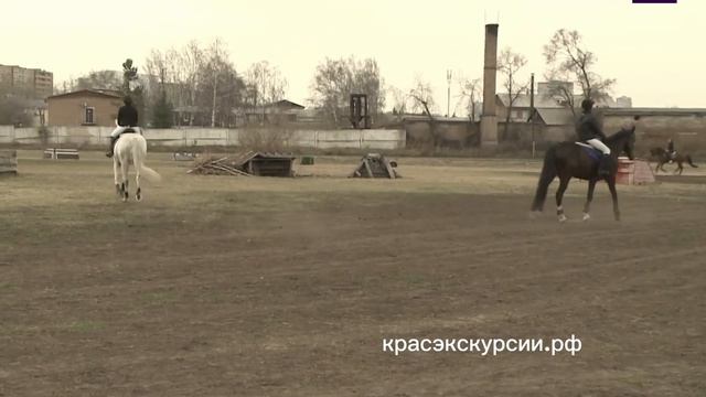 ЗОЛОТАЯ ПОДКОВА