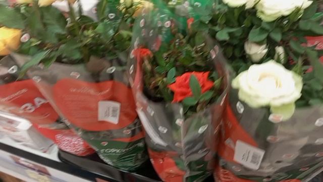 прогулка по разным местам и обзор