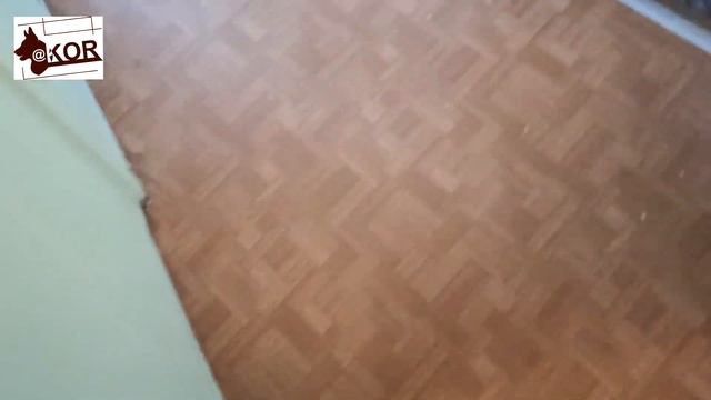Пищевая агрессия! КАК НЕ ДОПУСТИТЬ?!