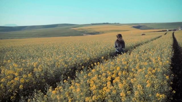 Los Ángeles Azules - Nunca Es Suficiente ft. Natalia Lafourcade