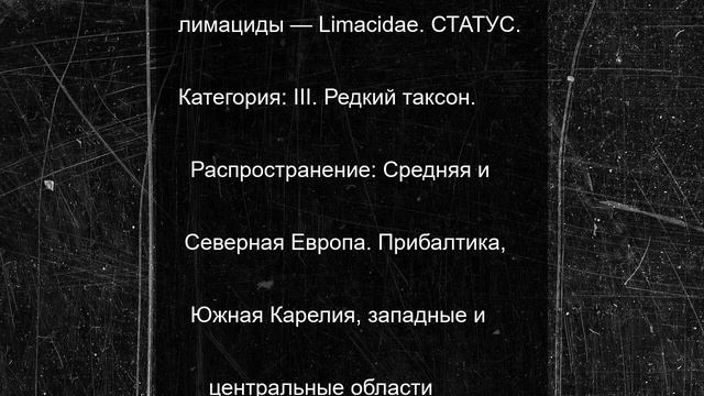Нечто выползло к людям на горе Воттоваара