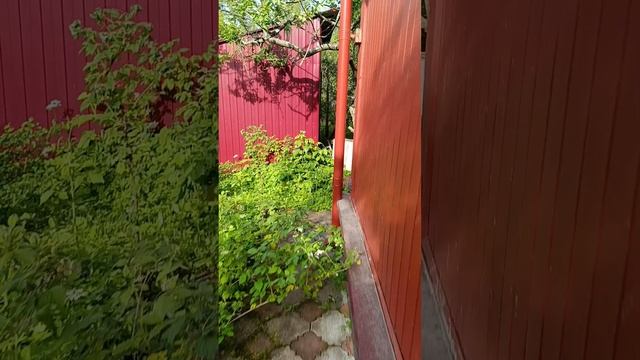 1000056929.mp4