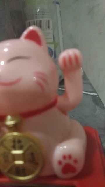 VID_20250627_233025.mp4
