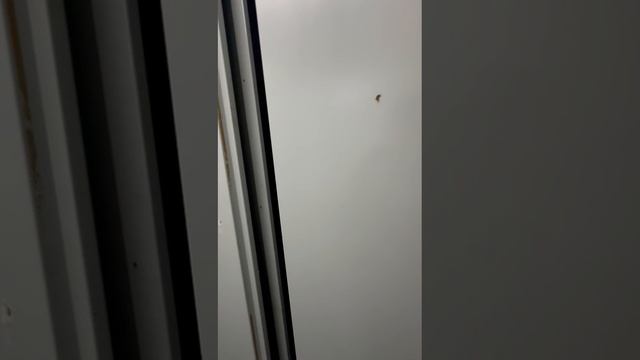 1001269616.mp4