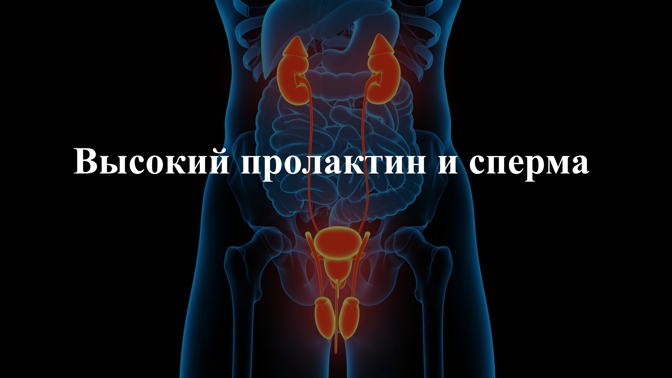 Высокий пролактин и сперма