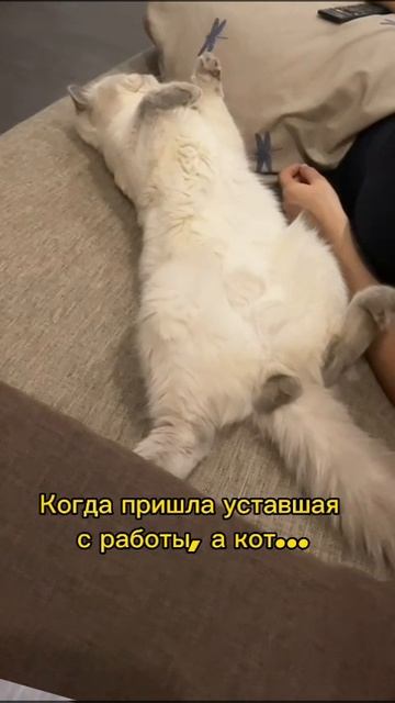«После рабочей недели — только массаж спасёт»