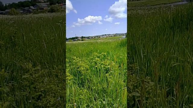 10 дней выживания в деревне 4 день 2 часть