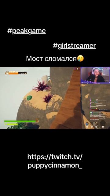 https://twitch.tv/puppycinnamon_