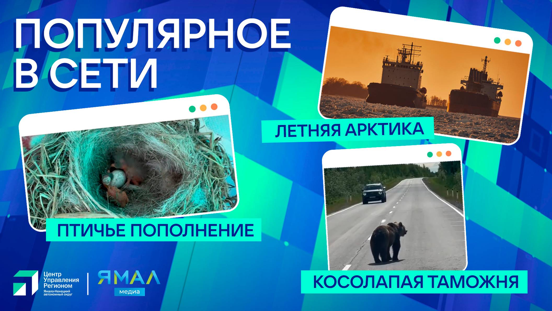 "Ямал-Медиа" продолжает обозревать популярные видео в интернете