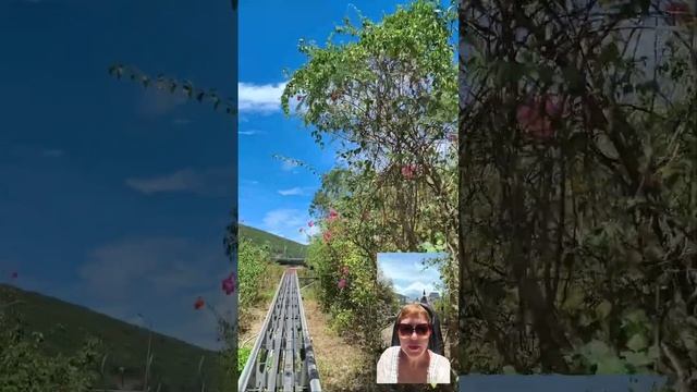 Винперл Электросани Нячанг часть 1. Вьетнам за 72 тысячи рублей с перелетом. @tutsi-dieti