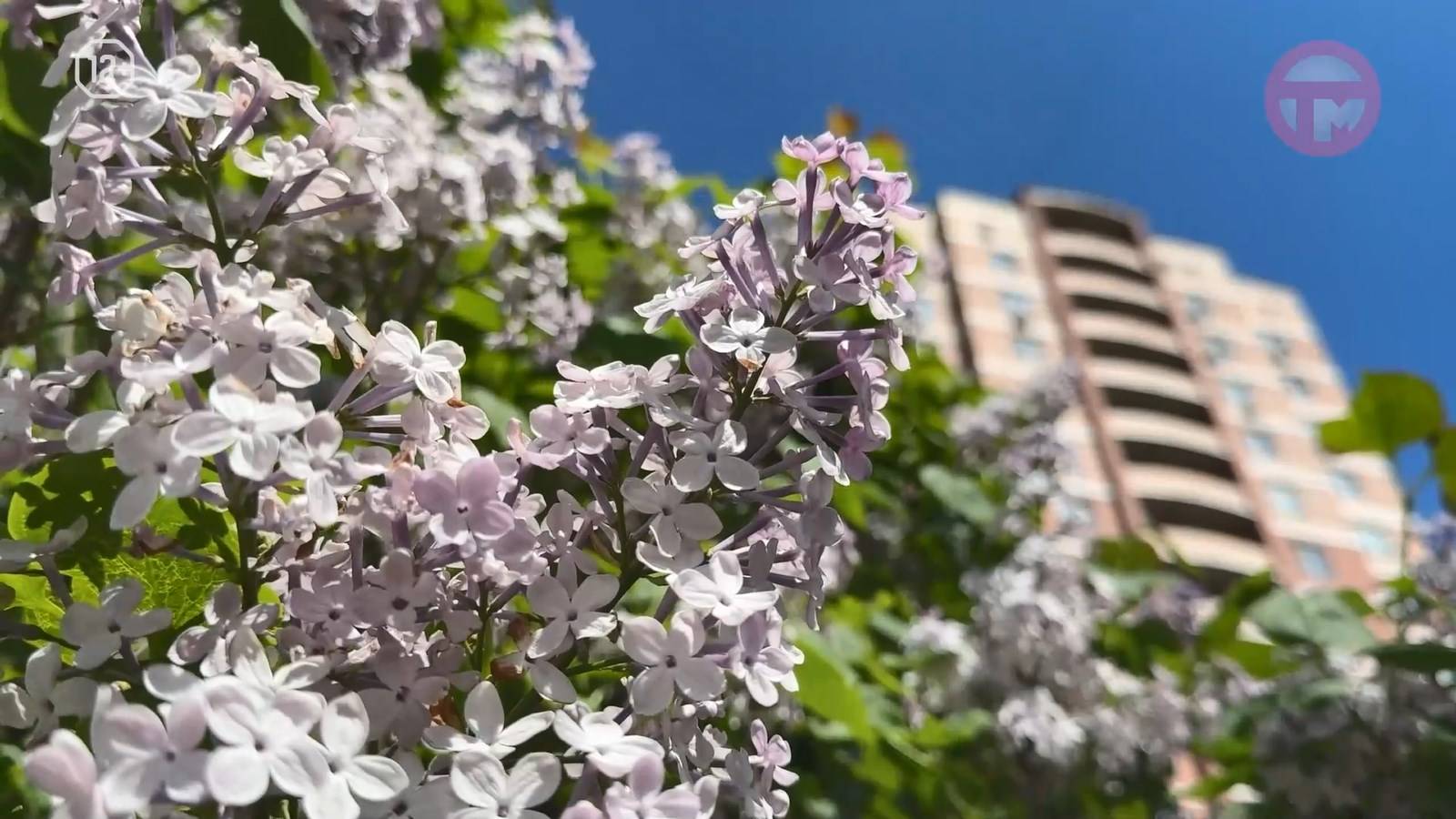 Последние выходные июня будут аномально жаркими в Приморье