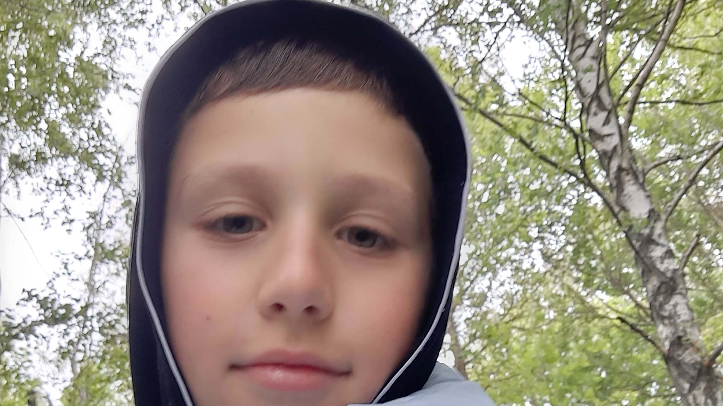 в лес за грибами