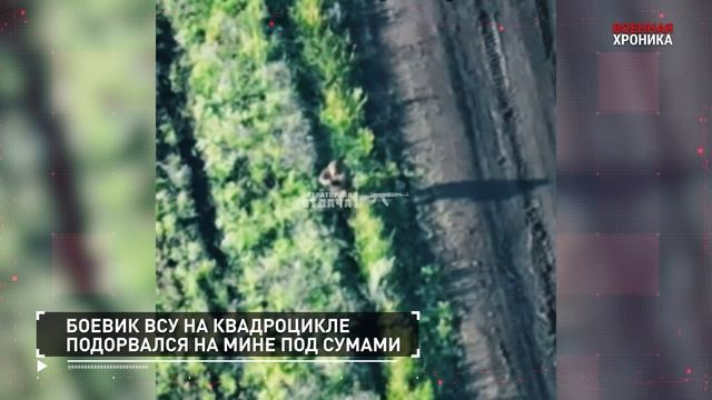 Главные видео СВО за 26 июня.