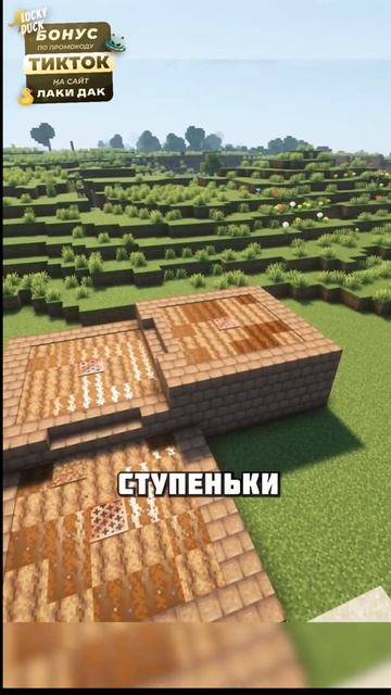271.mp4