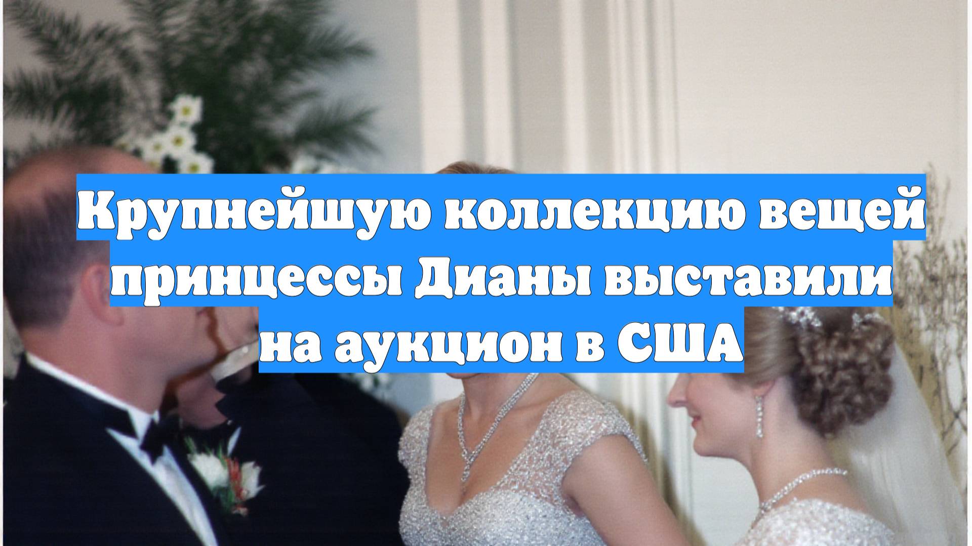Крупнейшую коллекцию вещей принцессы Дианы выставили на аукцион в США