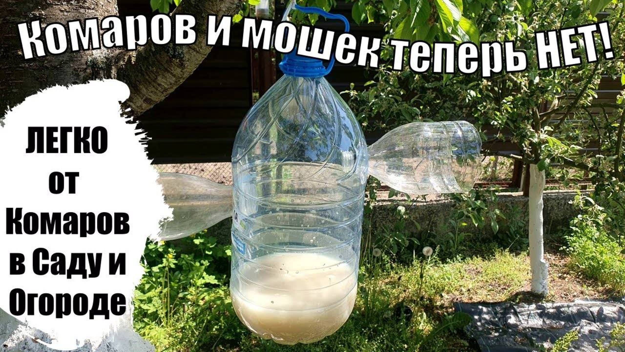Как навсегда избавиться от комаров и мошек в саду и огороде? Простые и эффективные способы!
