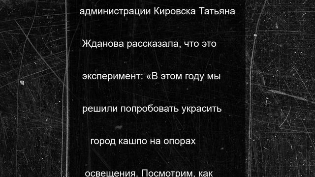 Яркие петунии оживят улицы Кировска