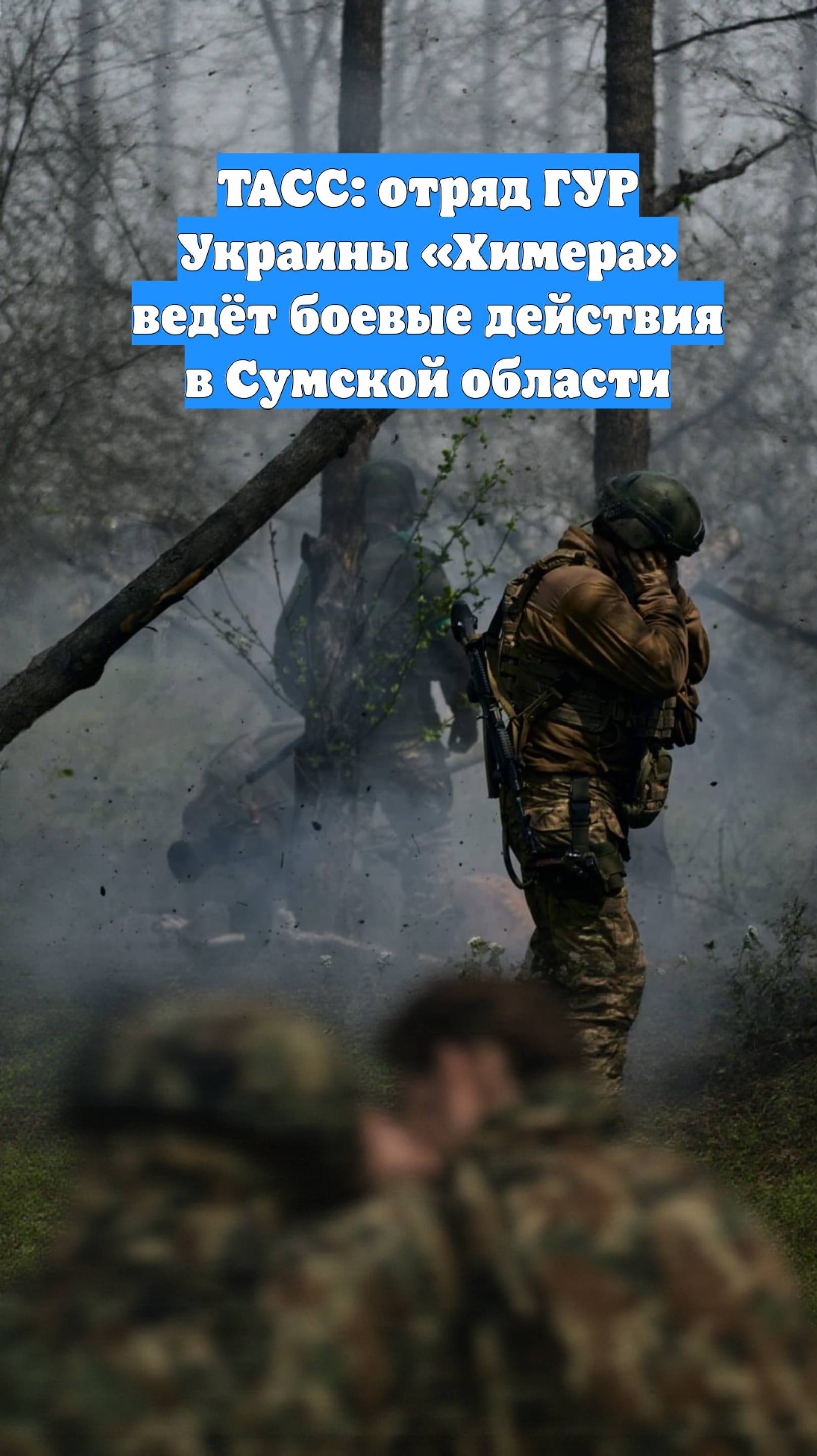 ТАСС: отряд ГУР Украины «Химера» ведёт боевые действия в Сумской области