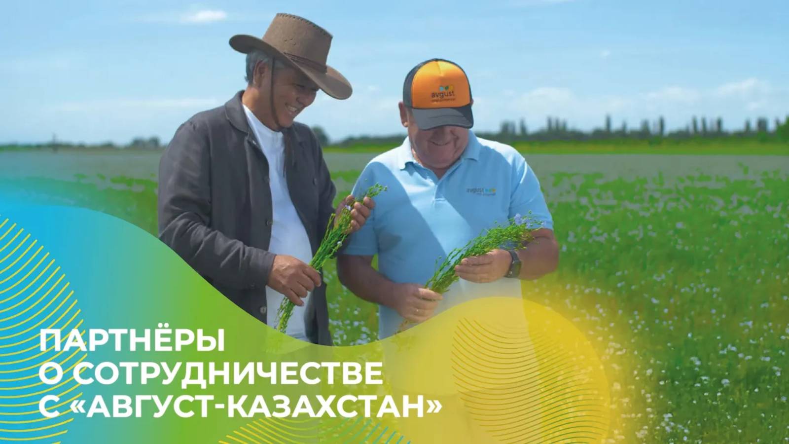 Партнёры о сотрудничестве с компанией «Август-Казахстан» #агро #сельскоехозяйство #лен #жетысу