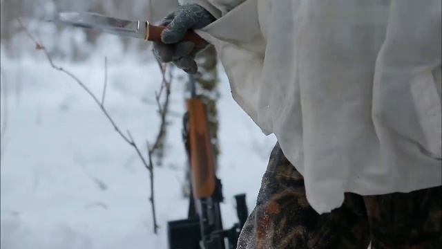 Амурский тигр  Путь к священной горе