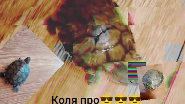 КОЛЯ😎😎😎