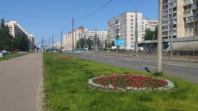 Прогулка по улице Проспект Просвещения в Санкт-Петербурге с иностранцем!