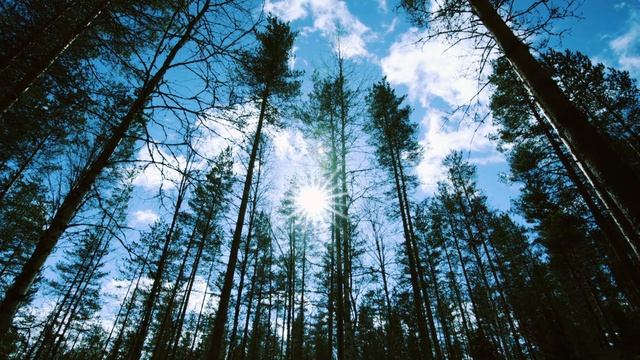 Дикая природа России / Wild Russia E09