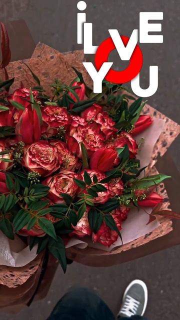 lv_0_20241030041810 dsad